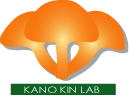 kanokinken.com
